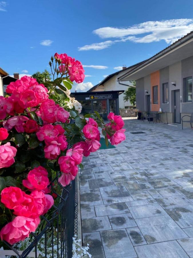 Apartman Drevi Ljubljana